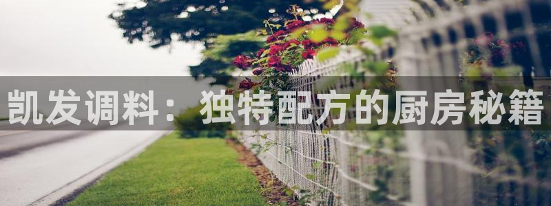 壹号大舞台：凯发调料：独特配方的厨房秘籍