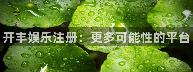 摩臣5平台.ccmpc登录：开丰娱乐注册：更多可能性的平台