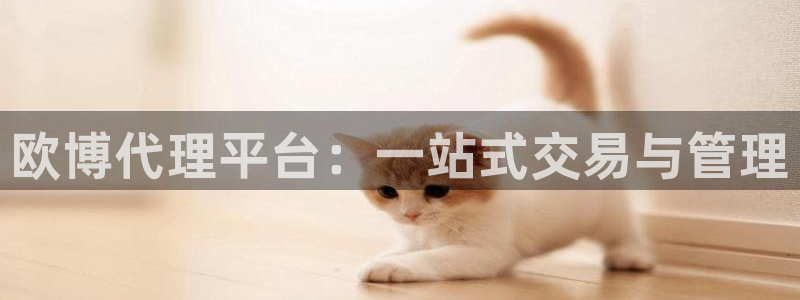 摩臣5平台是大平台吗：欧博代理平台：一站式交易与管理