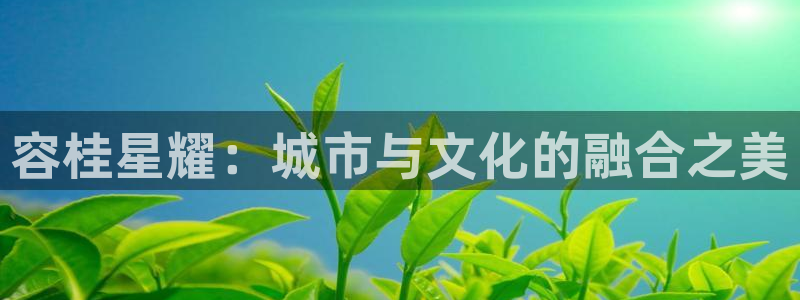 摩臣5平台app下载：容桂星耀：城市与文化的融合之美