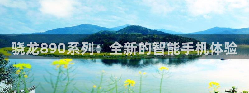 摩臣5平台有梦你就来：骁龙890系列：全新的智能手机体验