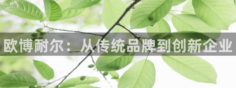 摩臣5平台.ccmpc29官网版下载：欧博耐尔：从传统品牌到创新企业