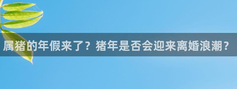 摩臣5平台的平台：属猪的年假来了？猪年是否会迎来离婚浪潮？
