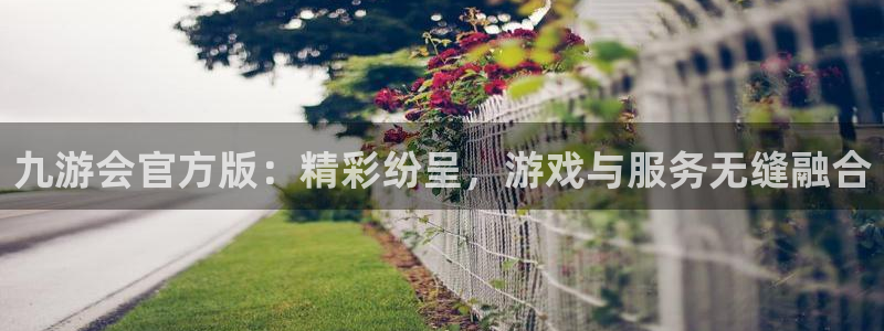 摩臣5平台官方网站下载：九游会官方版：精彩纷呈，游戏与服务无缝融合