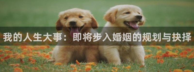 摩臣5平台,com：我的人生大事：即将步入婚姻的规划与抉择