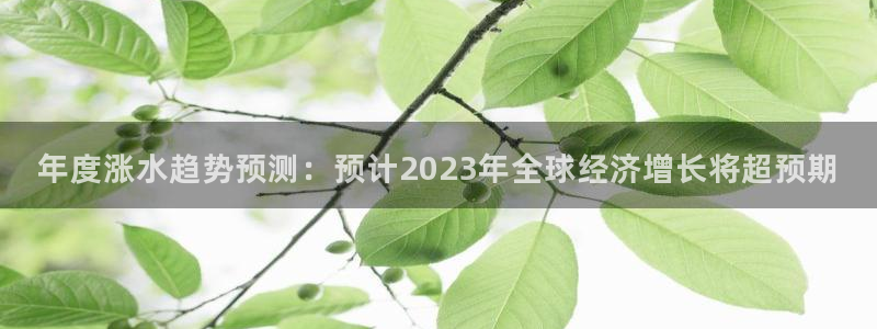 摩臣5平台app哪个模式容易赢：年度涨水趋势预测：预计2023年全球经济增长将超预期
