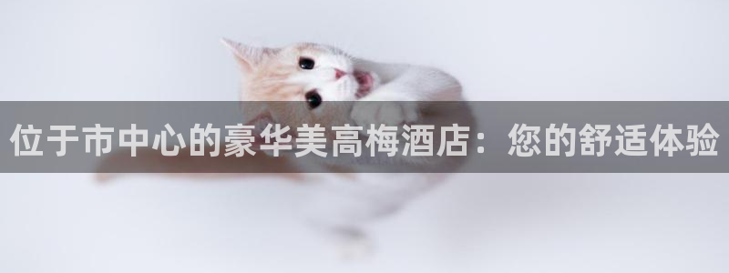 壹号官网app下载安装：位于市中心的豪华美高梅酒店：您的舒适体验