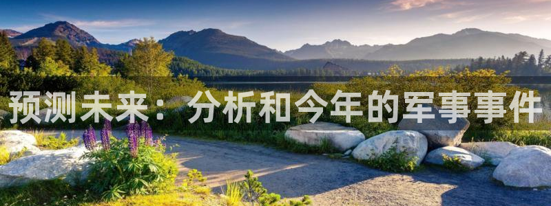 摩臣5平台：预测未来：分析和今年的军事事件
