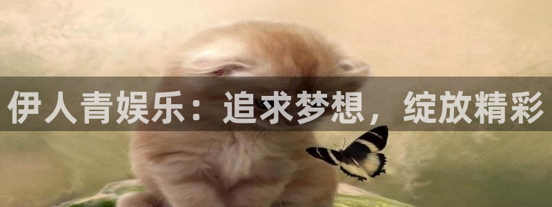 壹号app官网版下载：伊人青娱乐：追求梦想，绽放精彩