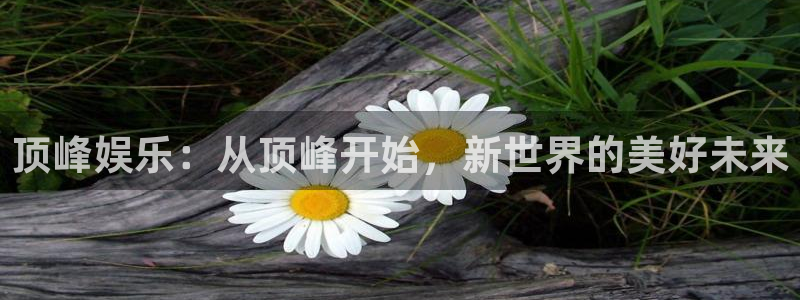 壹号电子娱乐app下载最新版本：顶峰娱乐：从顶峰开始，新世界的美好未来