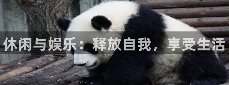 摩臣5平台加拿大下载：休闲与娱乐：释放自我，享受生活