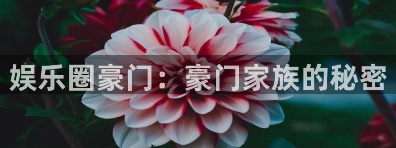 摩臣5平台官方网站：娱乐圈豪门：豪门家族的秘密