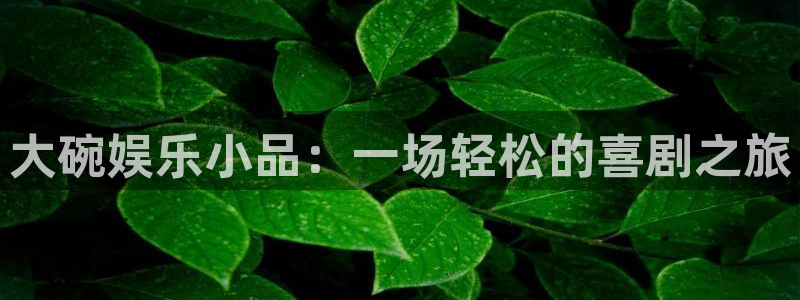 壹号大舞台有梦你就来：大碗娱乐小品：一场轻松的喜剧之旅