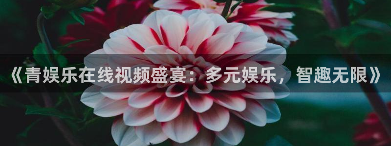 摩臣5平台网站