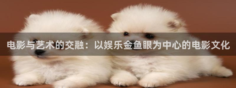 摩臣5平台怎么下载：电影与艺术的交融：以娱乐金鱼眼为中心的电影文化