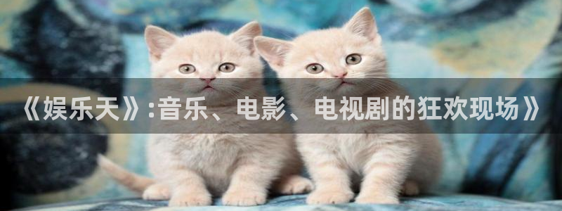摩臣5平台注册官网入口：《娱乐天》:音乐、电影、电视剧的狂欢现场》