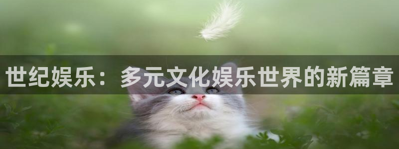 摩臣5平台app新版上线体验.游戏更新入口.中国：世纪娱乐：多元文化娱乐世界的新篇章