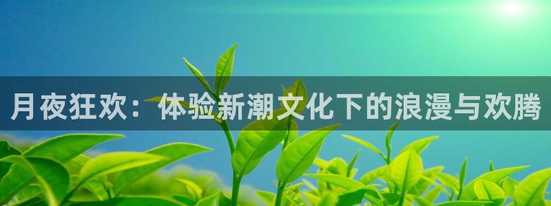 摩臣5平台注册平台：月夜狂欢：体验新潮文化下的浪漫与欢腾