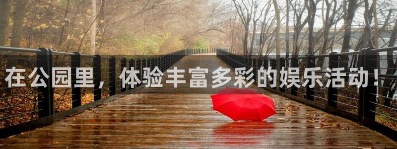 壹号下载官网入口：在公园里，体验丰富多彩的娱乐活动！