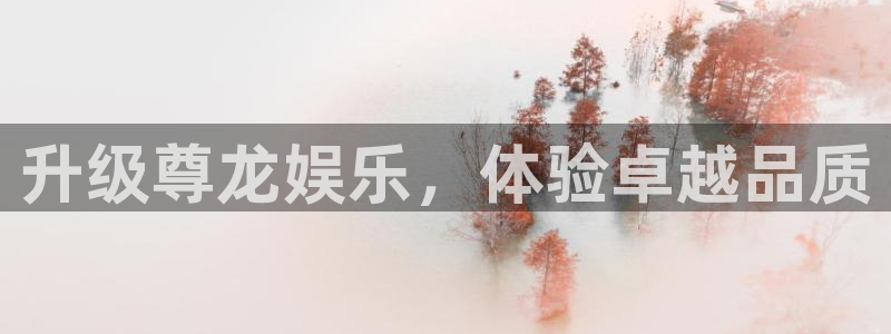 壹号大舞台下载：升级尊龙娱乐，体验卓越品质