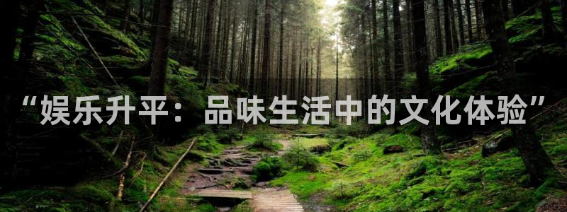 摩臣5平台登录：“娱乐升平：品味生活中的文化体验”
