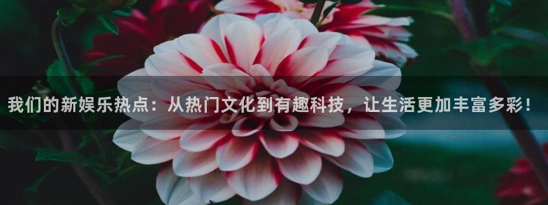 壹号电子娱乐app下载最新版：我们的新娱乐热点：从热门文化到有趣科技，让生活更加丰富多彩！