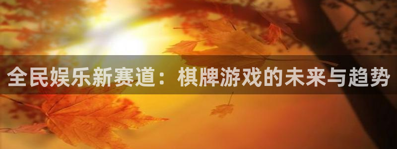 壹号平台下载安装：全民娱乐新赛道：棋牌游戏的未来与趋势