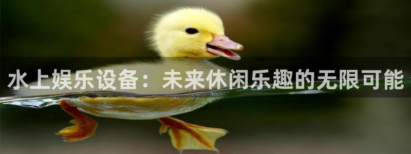 摩臣5平台平台官方入口：水上娱乐设备：未来休闲乐趣的无限可能