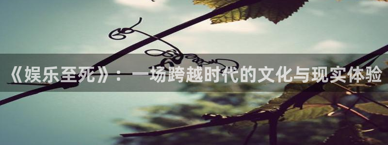 摩臣5平台平台官方入口下载：《娱乐至死》：一场跨越时代的文化与现实体验