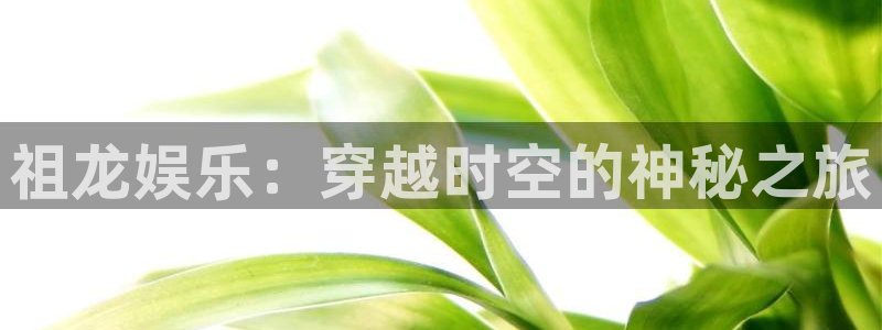 壹号玩家app下载：祖龙娱乐：穿越时空的神秘之旅
