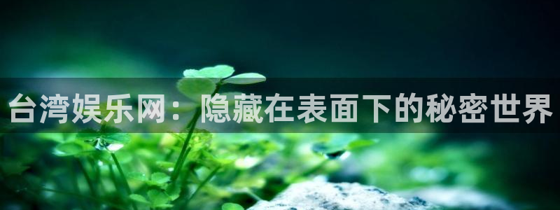 摩臣5平台.ccm官网版