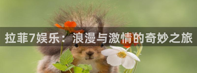 摩臣5平台网站平台