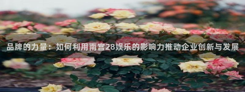 摩臣5平台app入口：品牌的力量：如何利用南宫28娱乐的影响力推动企业创新与发展