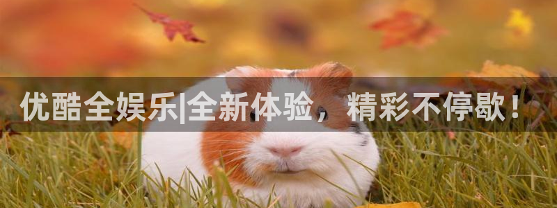 摩臣5平台平台登录入口：优酷全娱乐|全新体验，精彩不停歇！