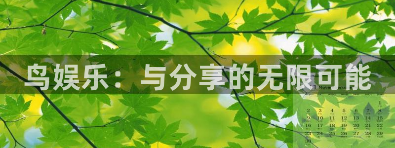 壹号大舞台有梦你就来：鸟娱乐：与分享的无限可能